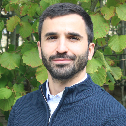 Immagine dell'utente