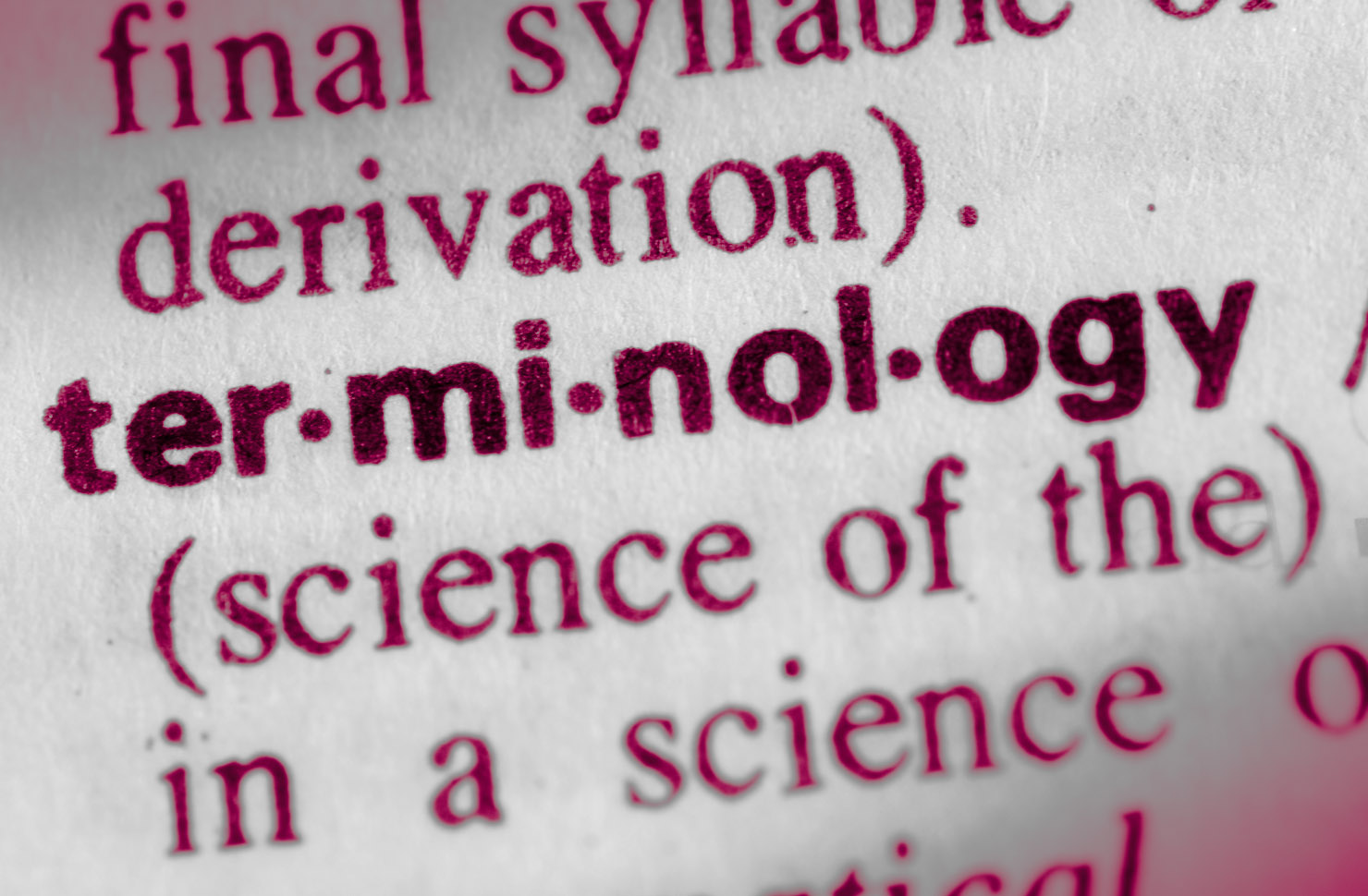 Digital Multilingual Terminology Management