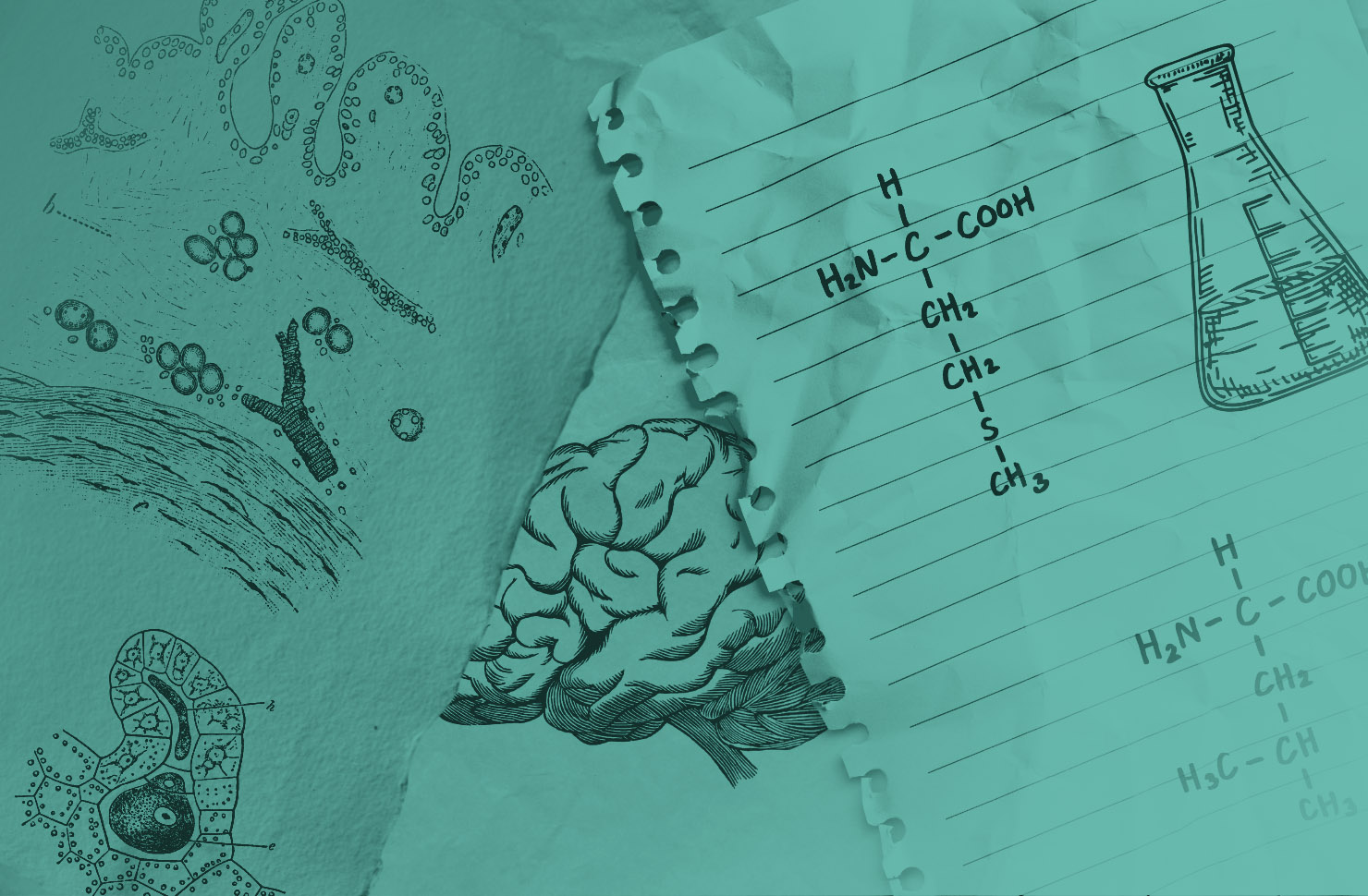 Fondamenti di Chimica e Biologia per Psicologia