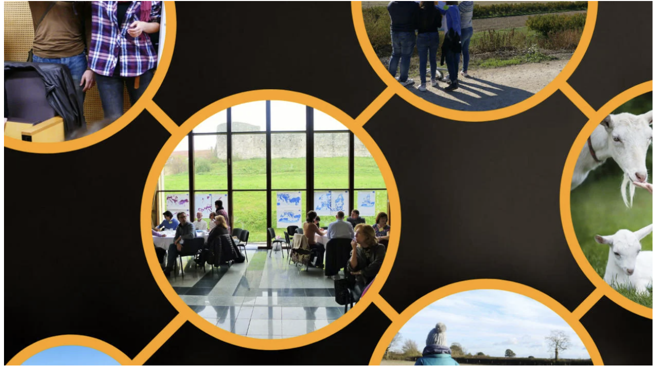 Social Innovation in Rural Areas