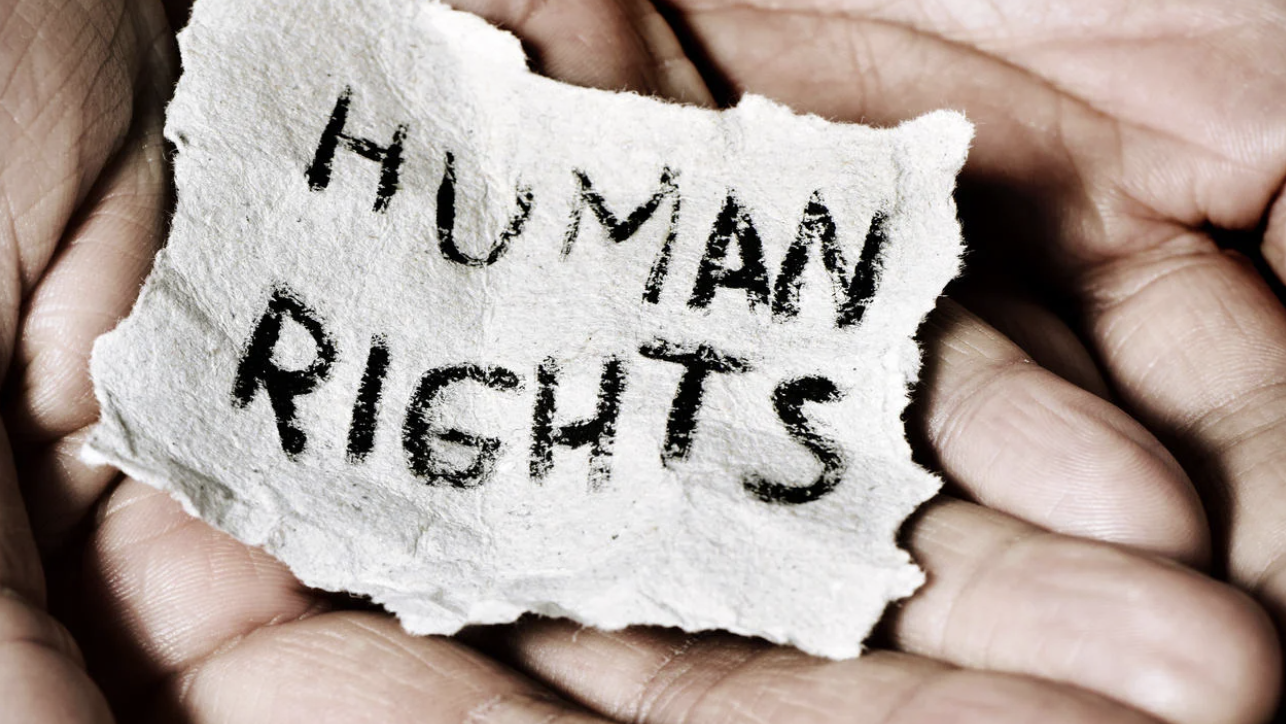 Human Rights and International Criminal Law: An Introduction