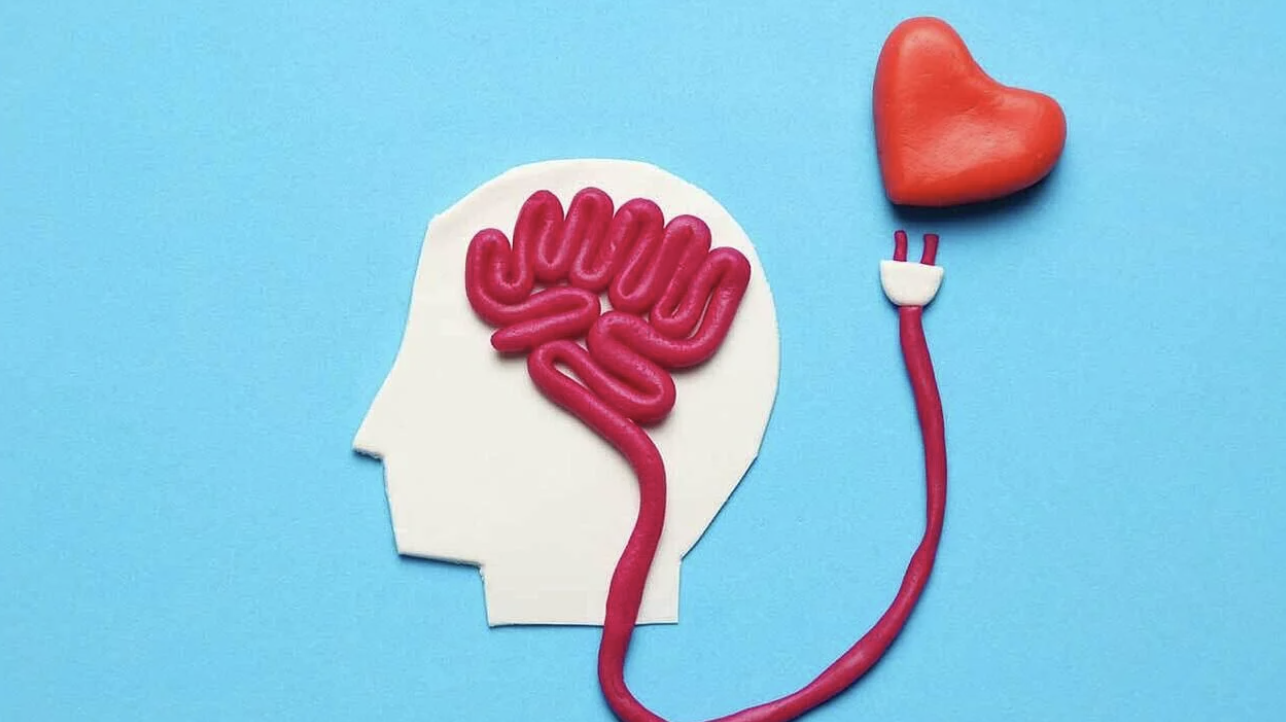 Introduction to Health Psychology