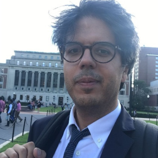 Immagine dell'utente